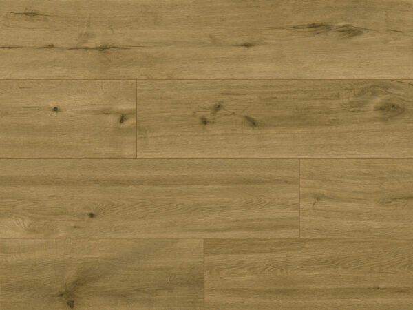 62544-Pro-Nature-Andes-246mm CLASSEN Pro Nature Andes 62544 – produkto nuotrauka
