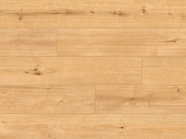 65142-Ceramin-Iberian-DK8288F01-203mm CLASSEN Ceramin Iberian 65142 – produkto nuotrauka
