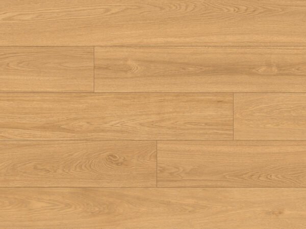 CLASSEN Ceramin Kadmos 66158 – produkto nuotrauka